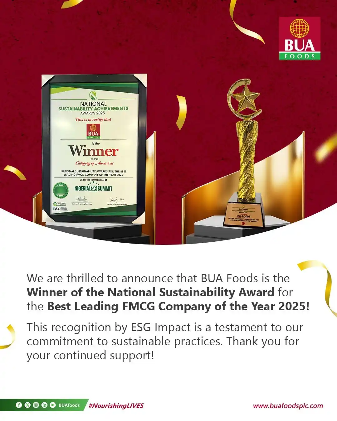 BUA Group Updates post