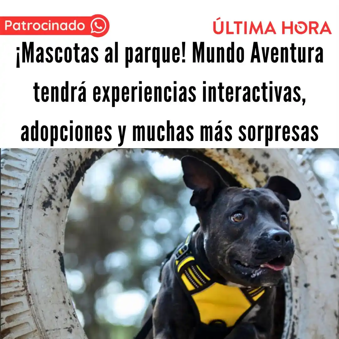 Image from Última Hora Col: El parque temático Mundo Aventura inauguró ‘Mascotas al Parque’, un fe...
