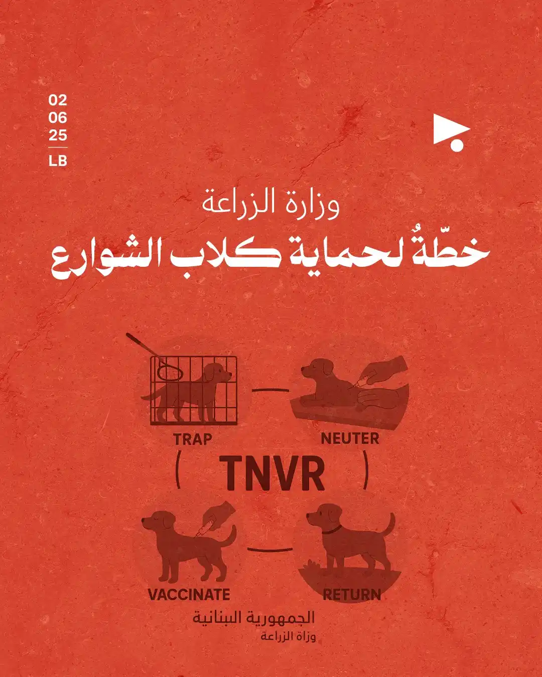 Image from أخبار ميغافون: _خبر_ | *وزارة الزراعة* *خطّةٌ لحماية كلاب الشوارع*👇 أعلنت وزارة الز...