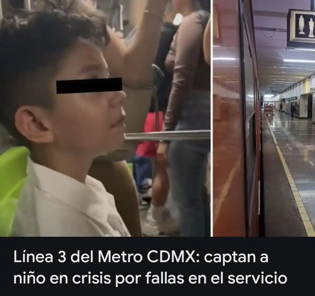 Sam The Hedgehog 2025 🗿🤙 post