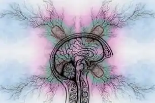 Image from El Misionerismo: *7 de junio. Día Mundial de Concienciación del Síndrome de Tourette.* ...