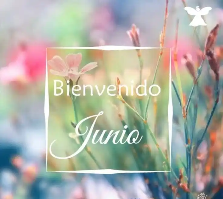 Image from La casa de los tés ☕🫖🧁: <a class="text-blue-500 hover:underline cursor-pointer" href="/hashtag...