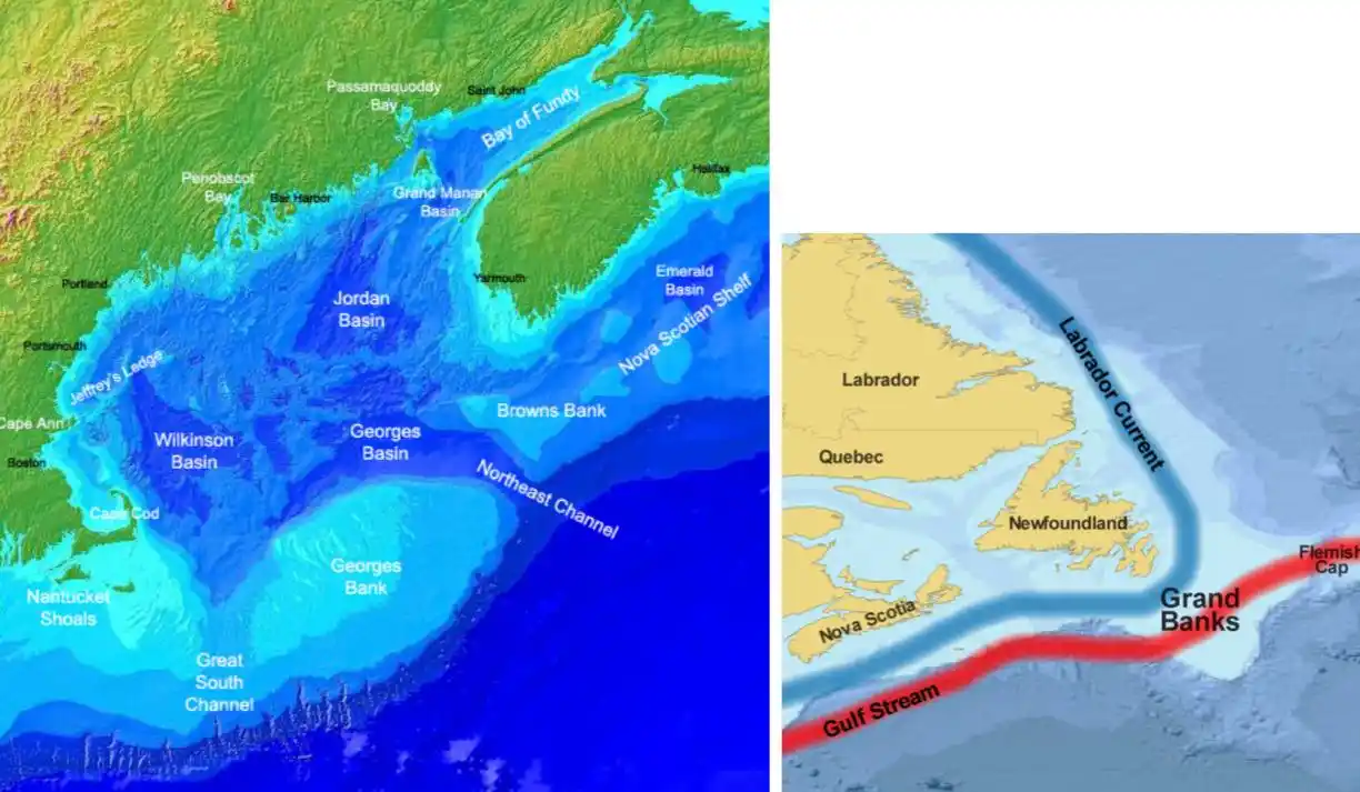 Image from UPSC mapping UPSC UPSC UPPSC MPPSC UPSC UPSC Upsc UPSC UPSC UPSC UPSC UPSC UPSC BPSC SSC CSAT UPSC™: 🔆 Georges and Grand Banks  ✅ Georges Bank: Located off the coast of N...