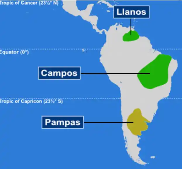 Image from UPSC mapping UPSC UPSC UPPSC MPPSC UPSC UPSC Upsc UPSC UPSC UPSC UPSC UPSC UPSC BPSC SSC CSAT UPSC™: 🔆 Grasslands of South America 📍 Pampas ✅ Located in Argentina, Urug...
