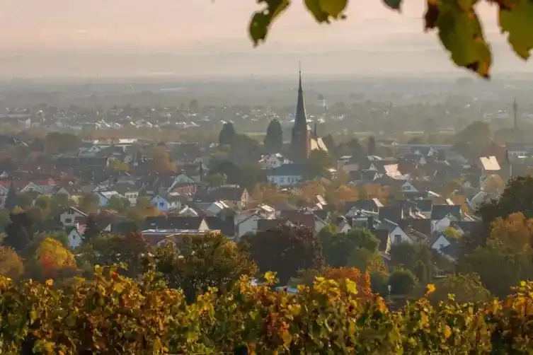 Image from Die RHEINPFALZ : 🛎️ *Nach Hotel-Schließung: So steht es um den Tourismus in Deidesheim...