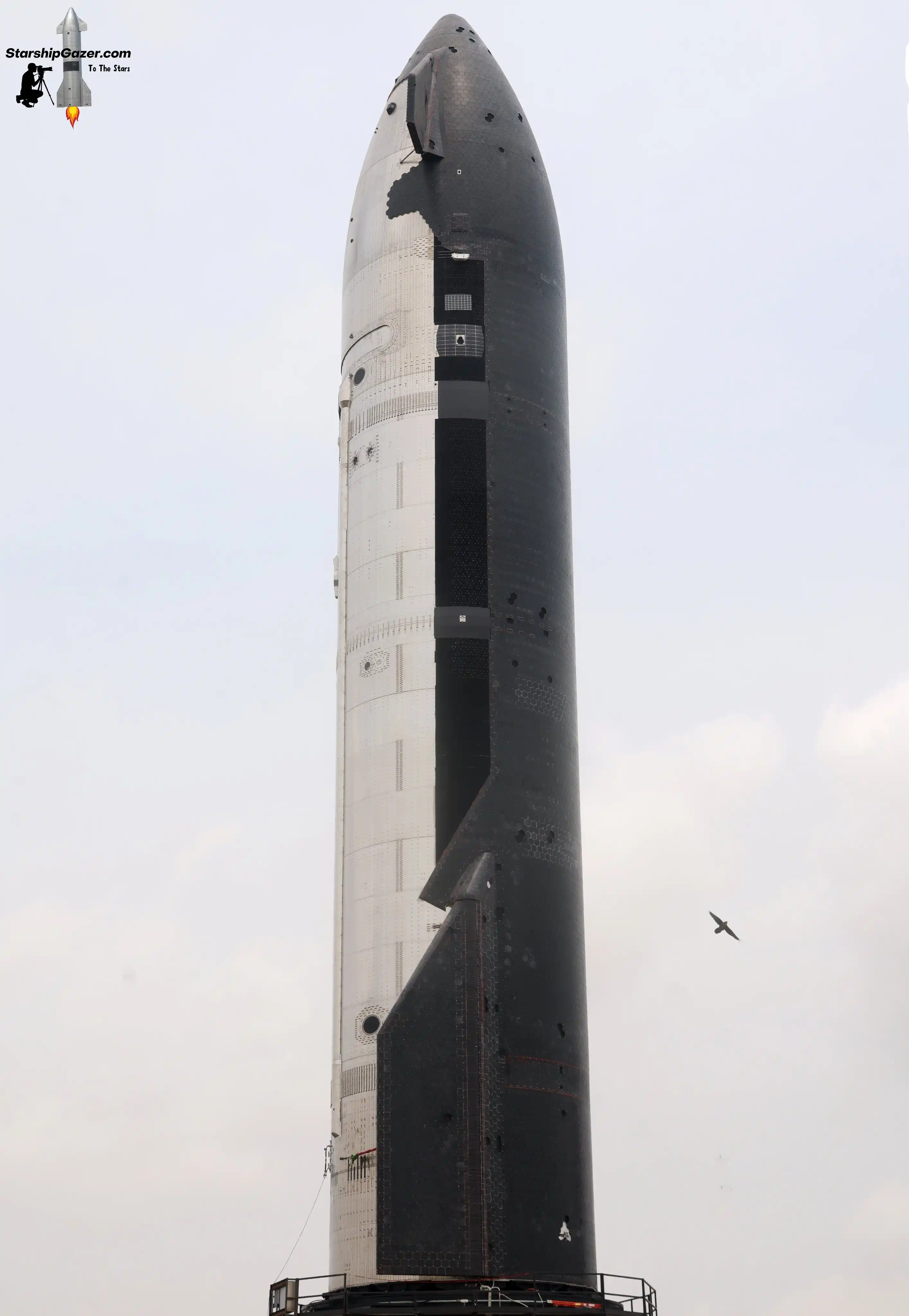 Image from Starship News | Por Arion Science: Pelo lado da Starship, nenhuma grande novidade em relação ao últimos v...