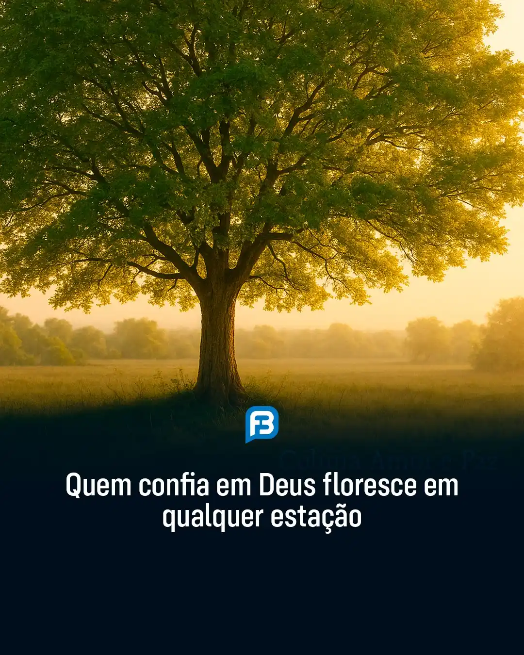 Image from Fala Barreiras, Portal de Notícias: *QUEM CONFIA EM DEUS FLORESCE EM QUALQUER ESTAÇÃO* _Quem confia em Deu...