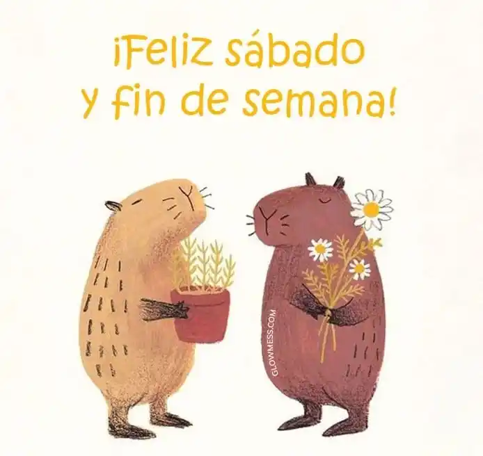 Image from La casa de los tés ☕🫖🧁: <a class="text-blue-500 hover:underline cursor-pointer" href="/hashtag...