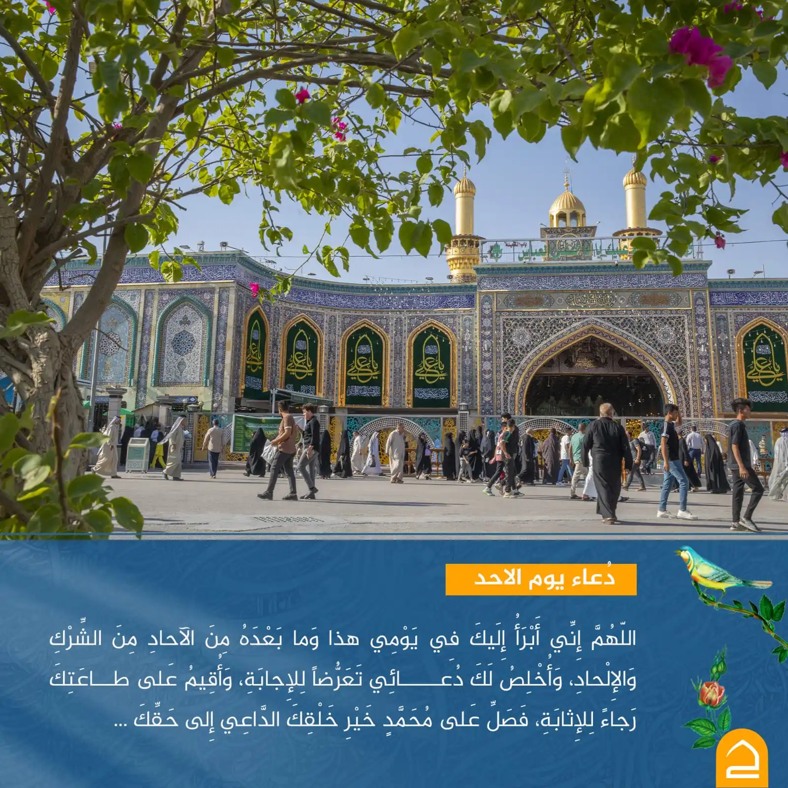 Image from حقيبة المؤمن: <a class="text-blue-500 hover:underline cursor-pointer" href="/hashtag...