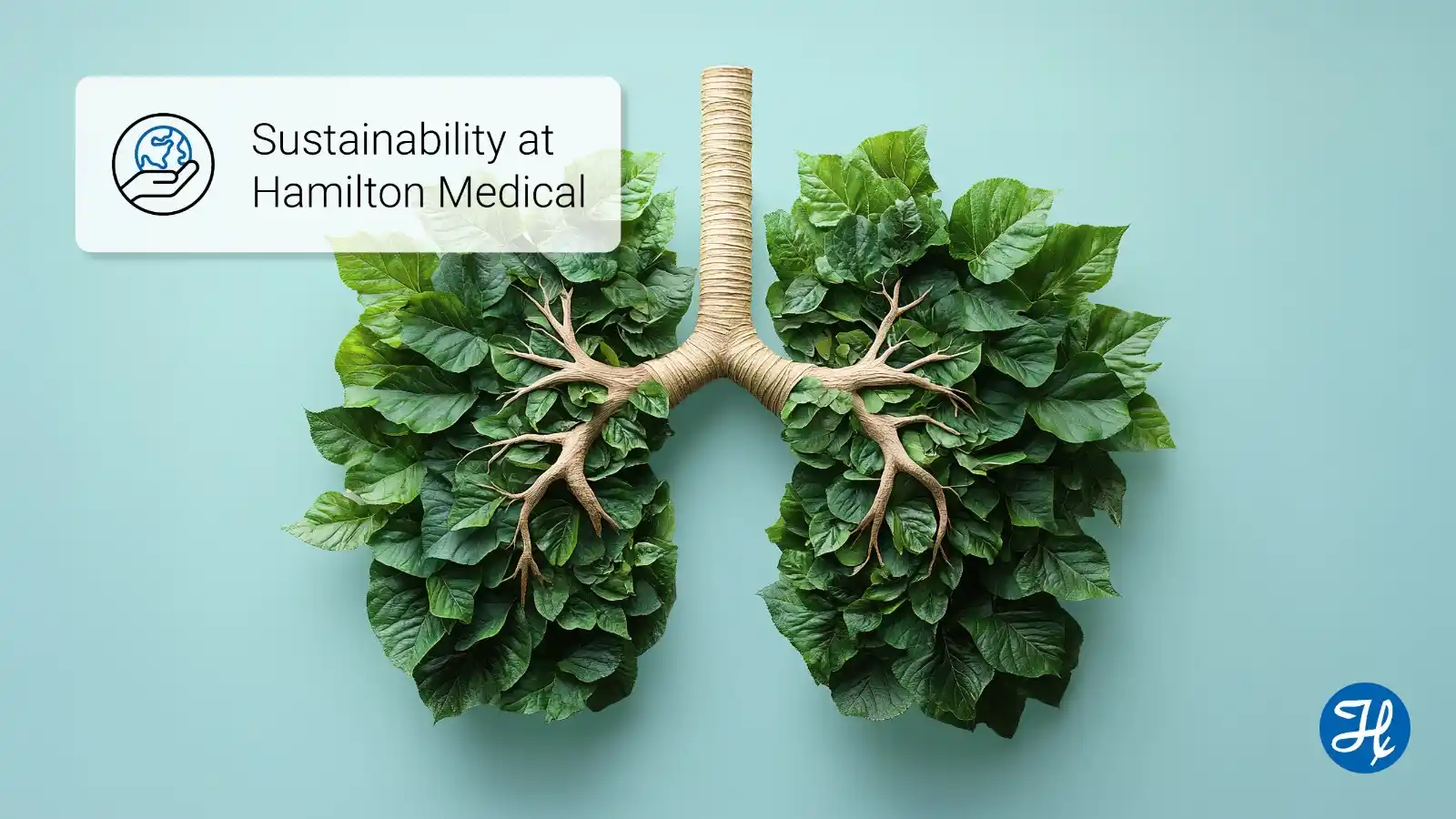 Image from Hamilton Medical India: <a class="text-blue-500 hover:underline cursor-pointer" href="/hashtag...