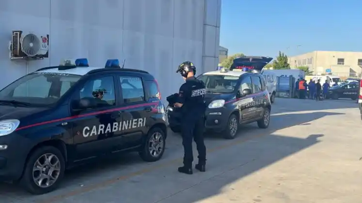 Image from Cagliaripad.it: ๐๐ฅ๐ฅ๐๐ซ๐ฆ๐ ๐๐จ๐ฆ๐๐ ๐๐ ๐๐ฅ๐ฆ๐๐ฌ: ๐ฌ๐๐จ๐ฏ๐๐ญ๐จ ๐ฎ๐ง ๐๐๐ซ๏ฟฝ...
