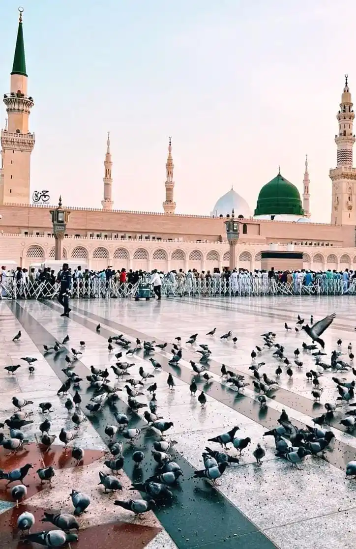 Image from eMadrasah: 🌟 Do zabardast din ek saath, behtareen dinoṅ mein 📚 Imam Ibn Hajar ...