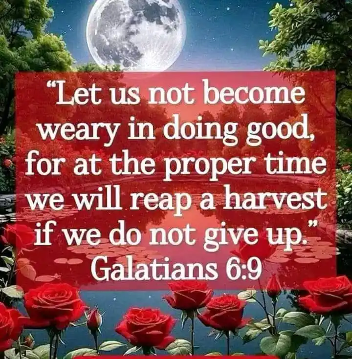 Image from 💑MARRIAGE TIPS, HEALTH AND BUSINESS ADVICES 💞💃: https://whatsapp.com/channel/0029VaGhjo07tkjCfXdy322U  *💫OUR SATURDAY...