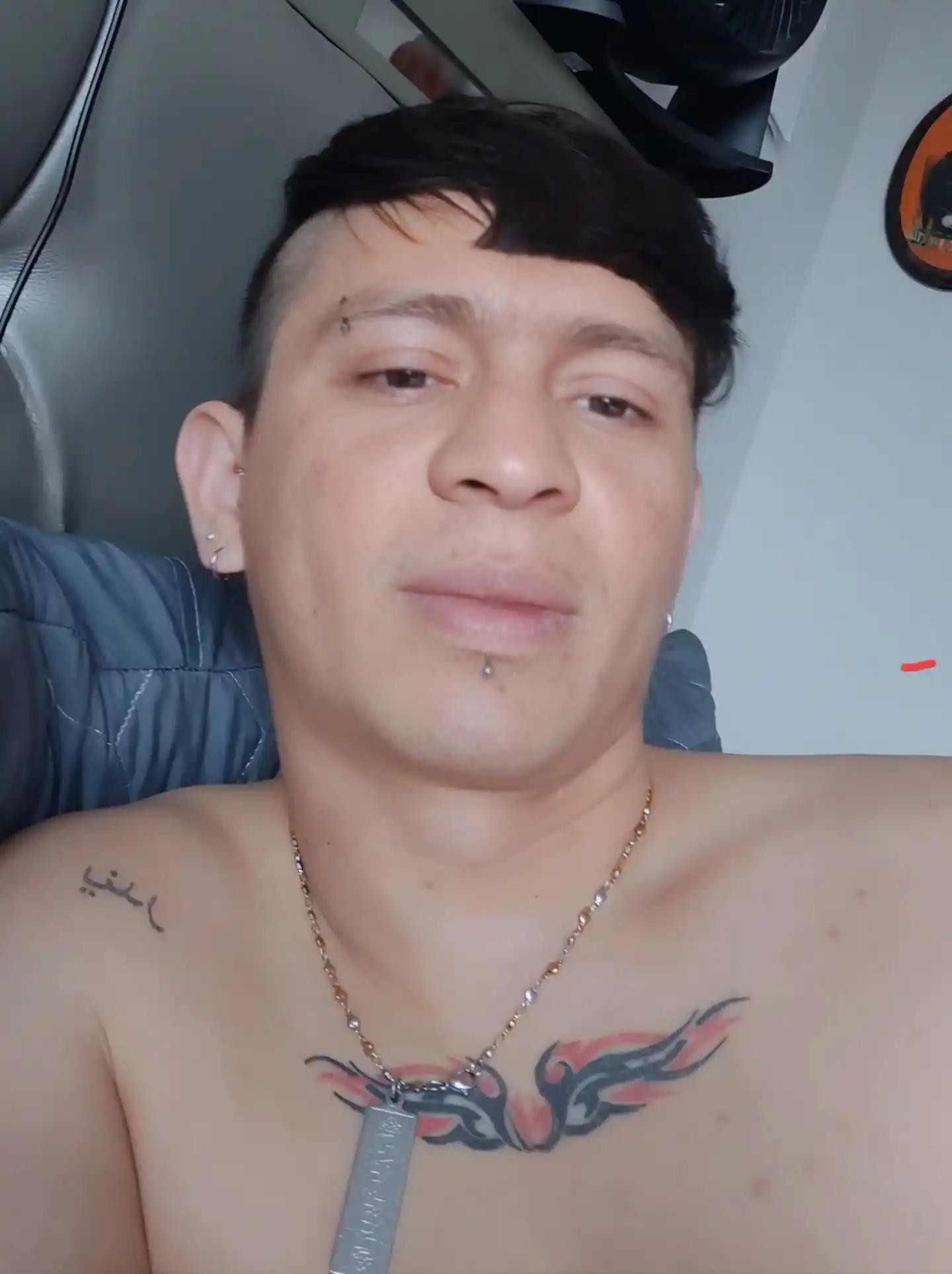 Image from 𝑴𝑰𝑺𝑨𝑬𝑳 𝒀𝑨𝑰𓂀: mis mañanas con el🐦 VIDEO EN TIKTOK⤵️ https://www.tiktok.com/t/ZP8MG5...