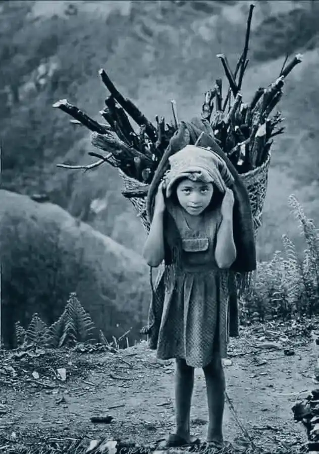 Image from دیارِ عشق💝❤️‍🔥: *"‏آپ کا بوجھ آپ کی پیٹھ کے علاؤہ کوئی نہیں اٹھاتا💯🙃*  *باقی صرف آپ ...