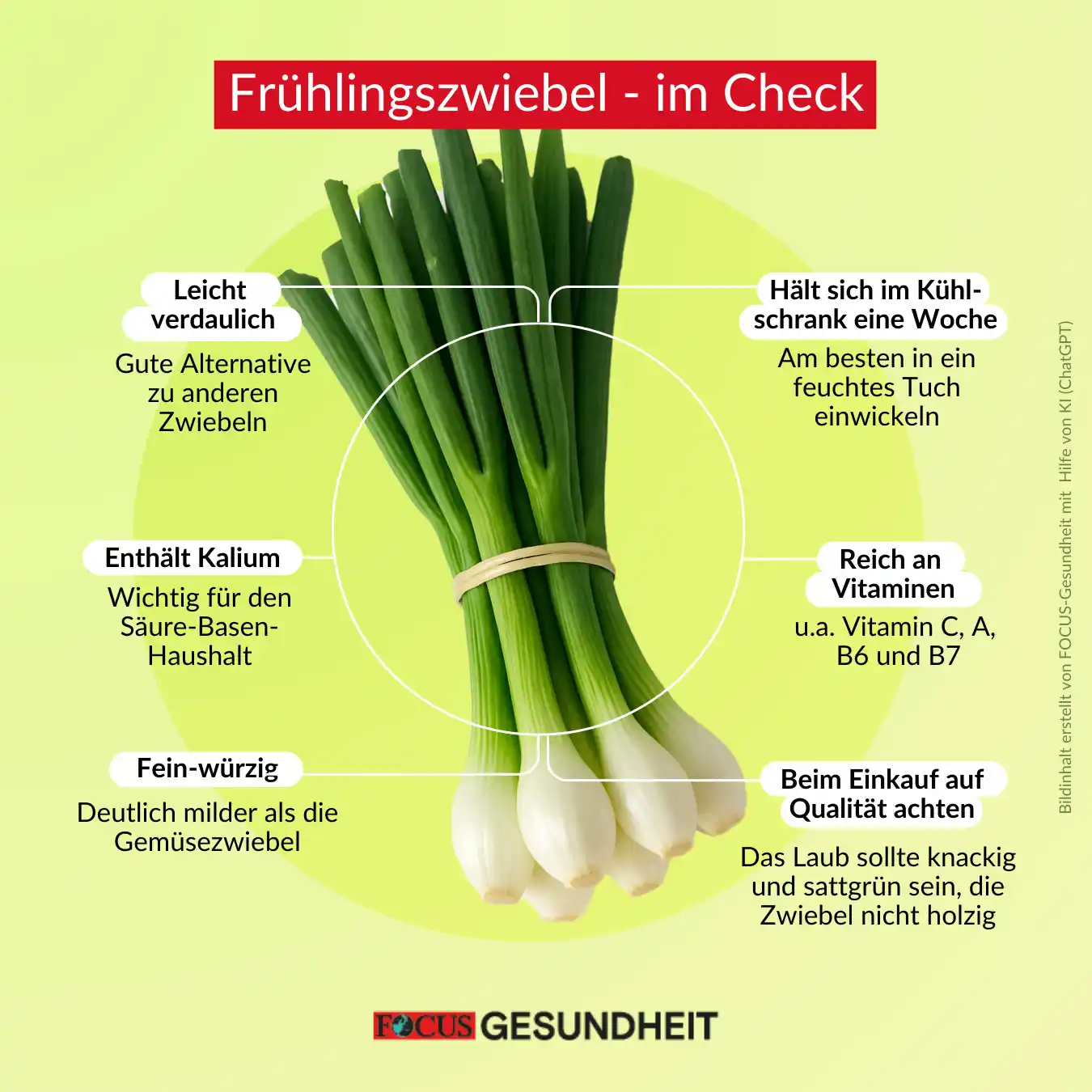 Image from FOCUS Gesundheit : Die Frühlingszwiebel, auch Lauch- oder Bundzwiebel genannt, wird in de...
