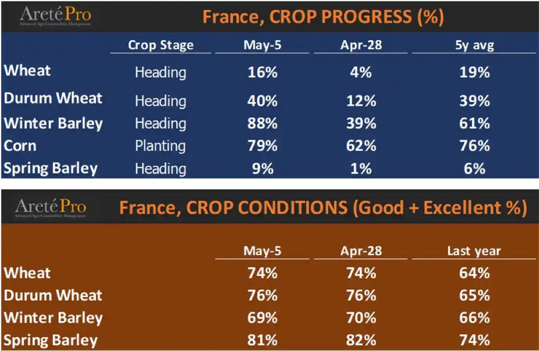 Бруклін-Київ 🌾🌽🫛 post