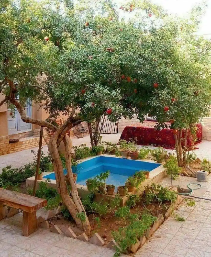 Image from متن زیبا 🍂✍📚: ✍️حیاط خانه ، واسه قدیمیها ، جدا از خاطرات ، کارایی زیادی داشت هم جای...