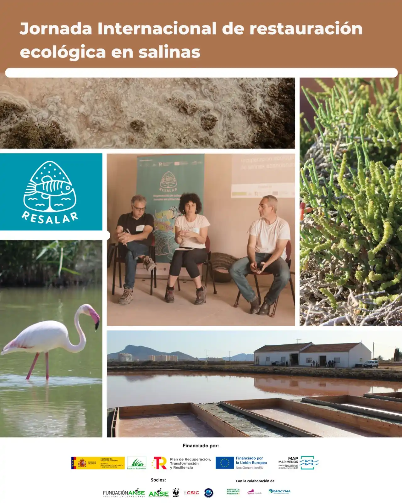 Image from 🦩ANSE, Asociación de Naturalistas del Sureste 🍁: 🔵 *JORNADAS* 🔵 🧂 *Jornada Internacional de restauración ecológica...