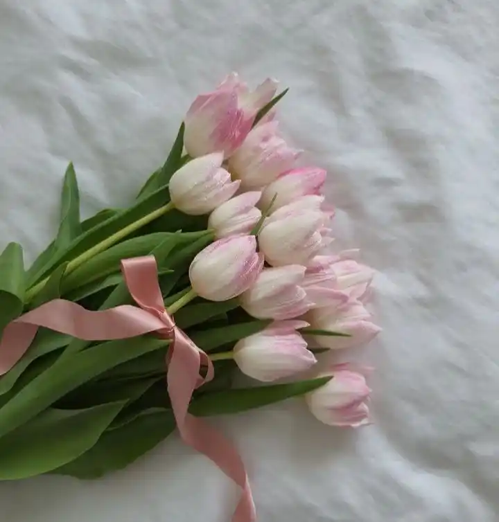 الزوجــ💍ــــة الــصـالــحـ💎ــة post