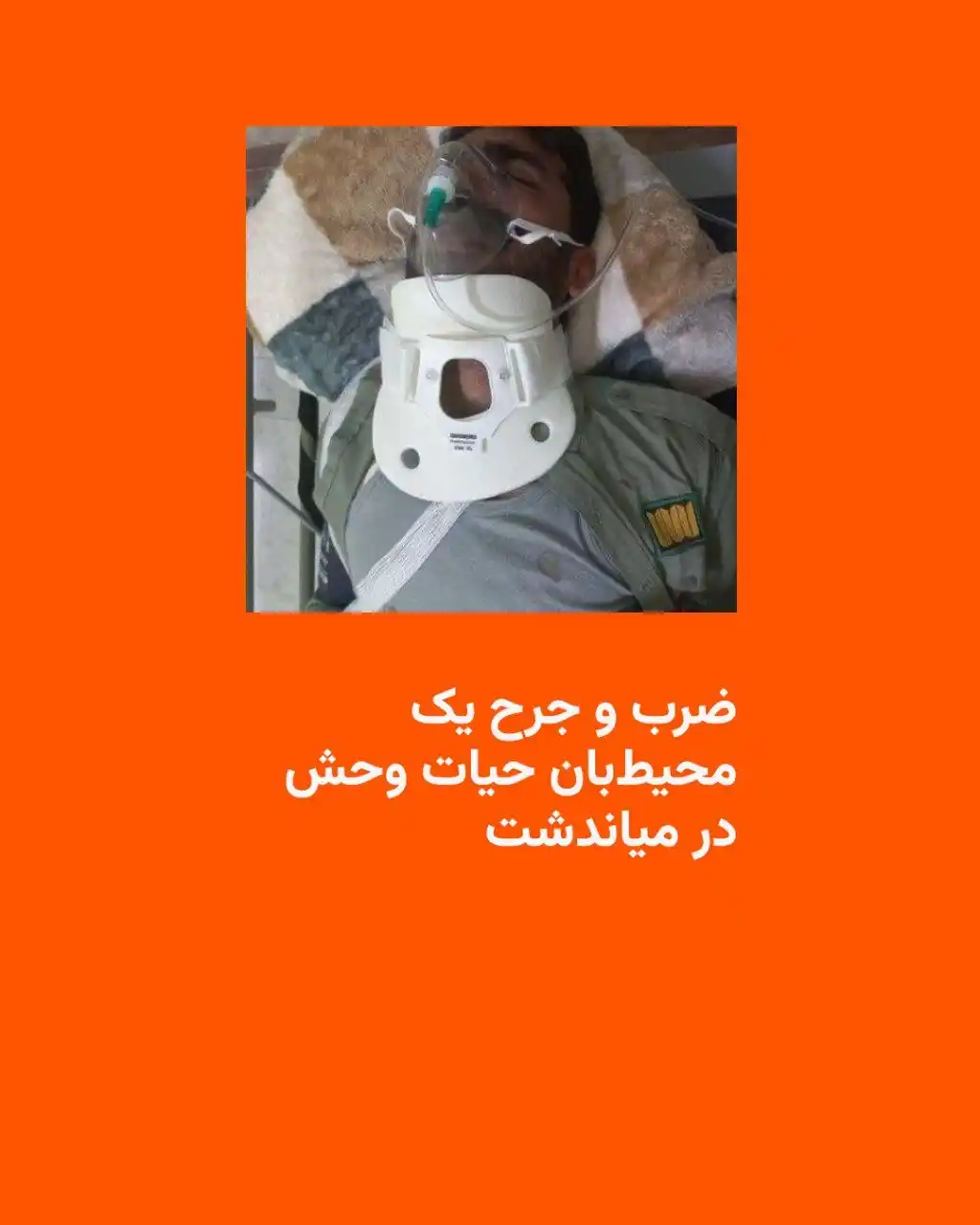 Image from Radio Farda: مدیرکل حفاظت محیط زیست استان خراسان شمالی روز چهارشنبه ۱۴ خرداد از ضرب...