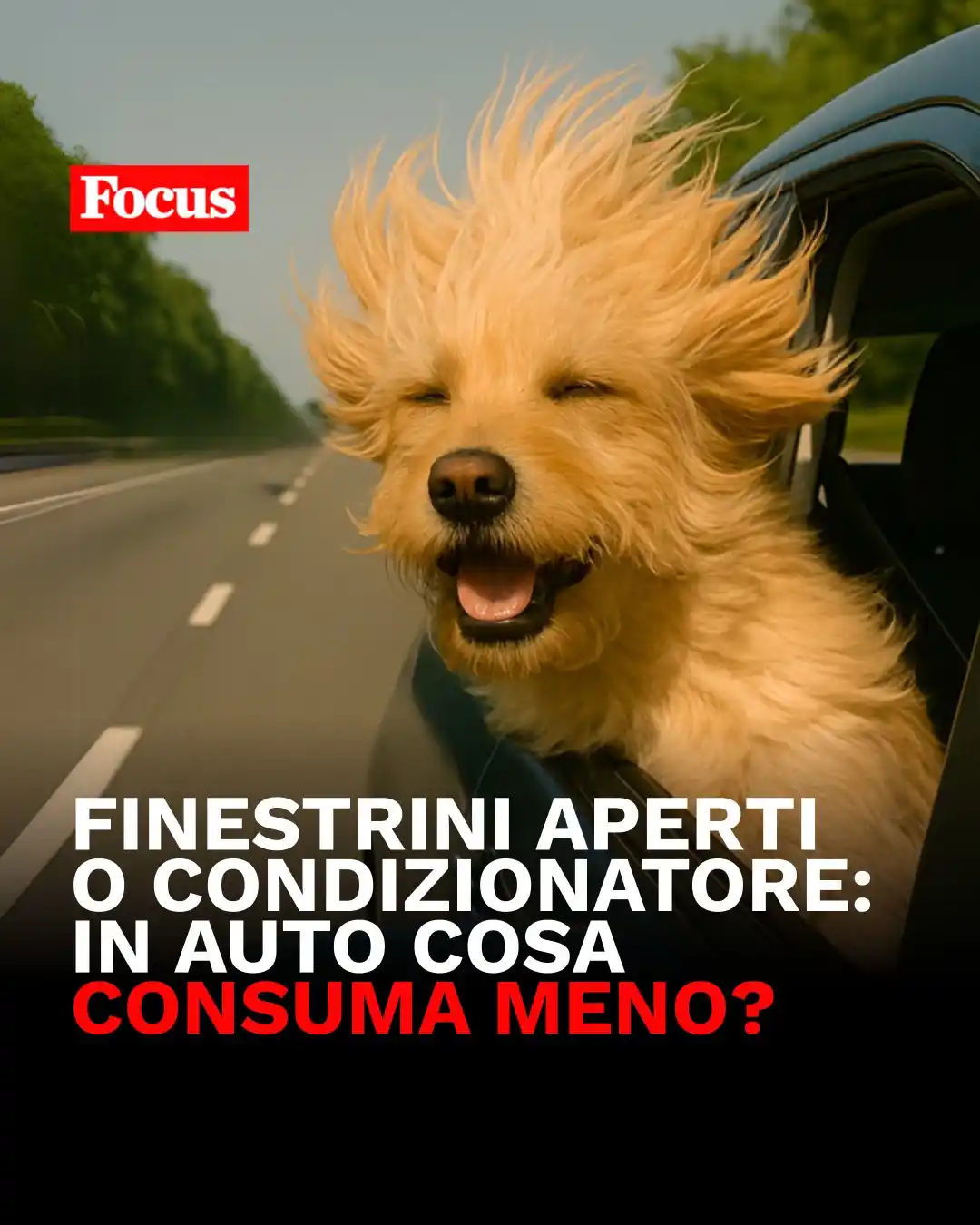Image from Focus: Quando si parla di consumi in auto, la risposta non è così scontata. A...
