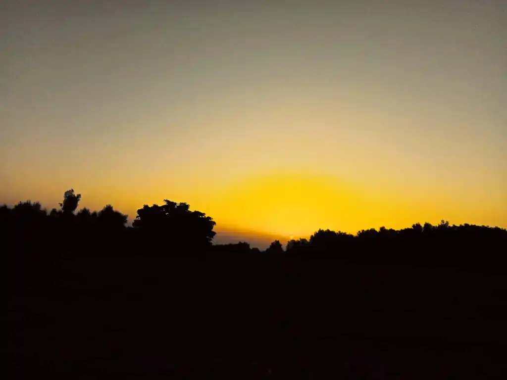 راځې چې للمه وګورو🌴 post