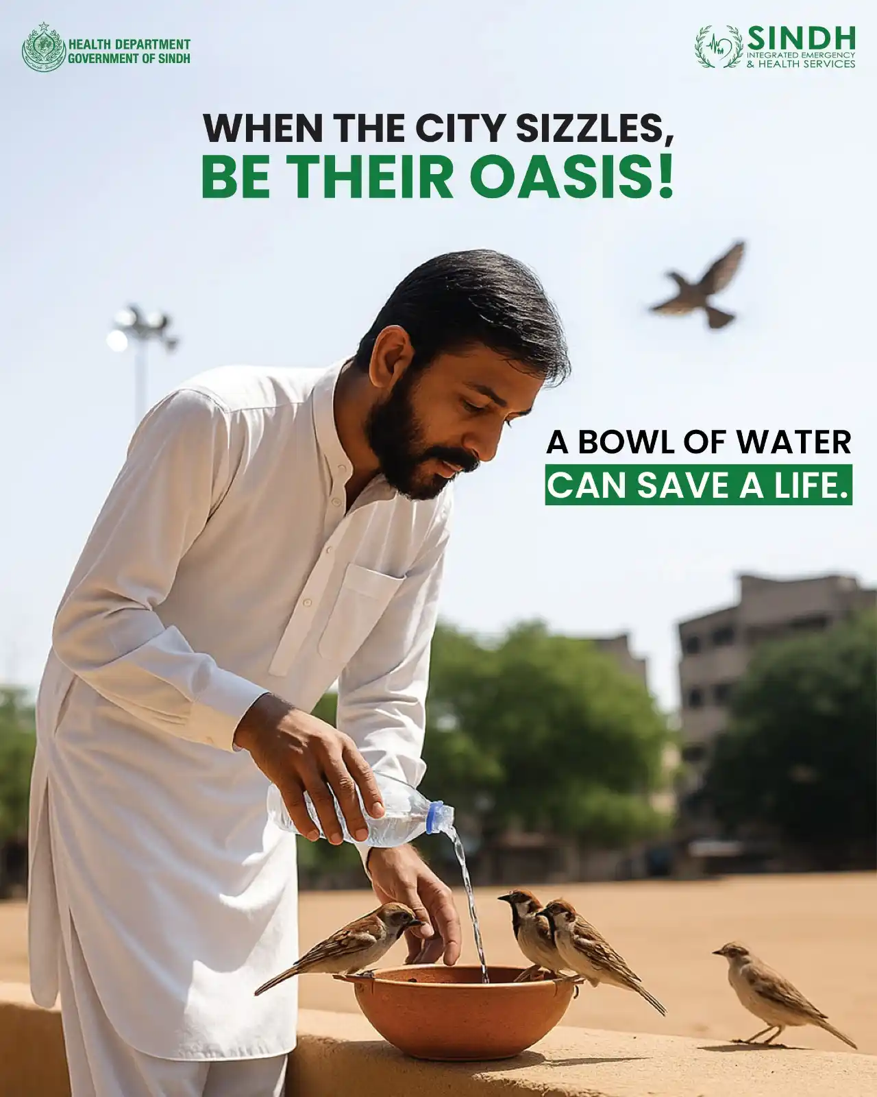 Image from Sindh Integrated Emergency & Health Services (SIEHS): Small acts, big impact – help animals and birds survive the heatwave w...