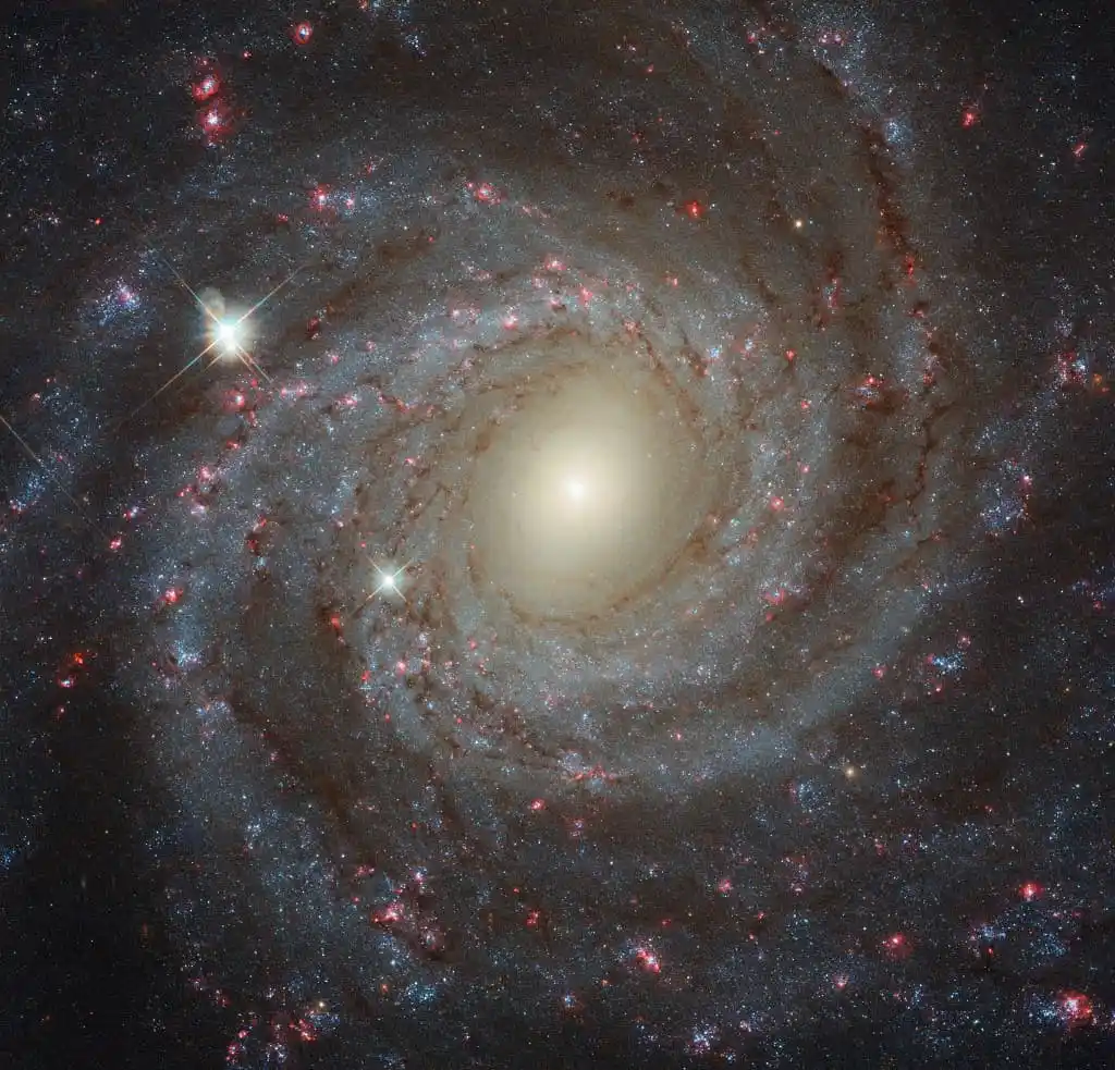 Image from NASA's Astronomy Picture of the Day: 2025 June 8 *Facing NGC 3344* *Image Credit:* ESA/Hubble & NASA From...
