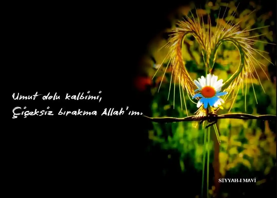 Image from SEYYAH-I MAVİ: _*Birbirimize dua edersek, birbirimize iyi geliriz*._ _Unutma; her gön...