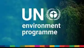 Image from Global Grants And Opportunities For Africa: *Call for Applications: UNEP-Pan African Action Plan for Active Mobili...