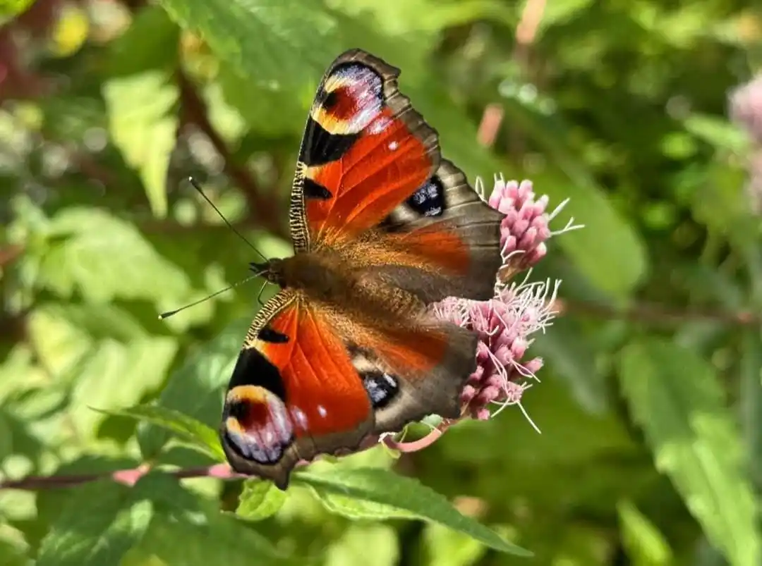 Image from Sprockhövel: Guten Morgen. Ein klasse Wochenende ☀️steht bevor mit vielen Veranstal...