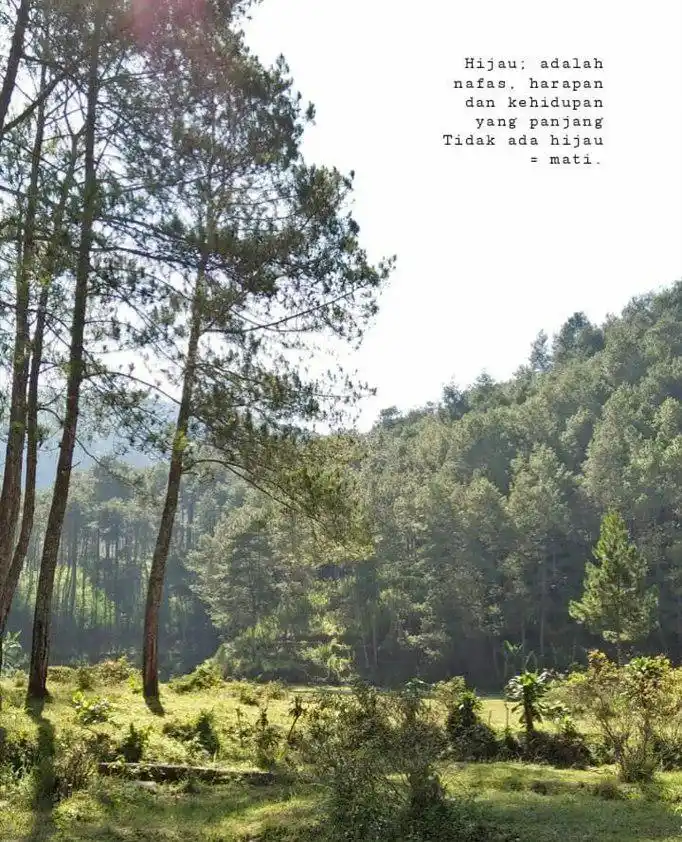 about lagu spotify ♪♪ post