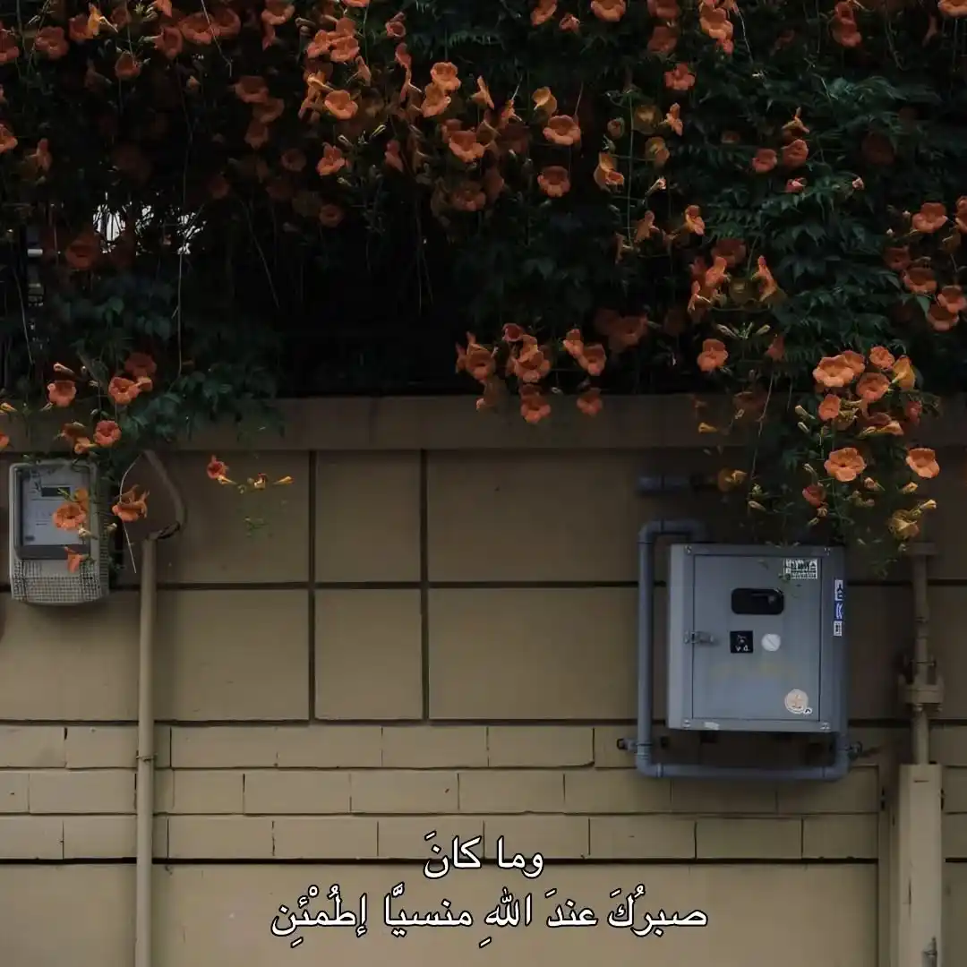 Image from سيأتي بها الله وإن تأخــرت❤️🩹قرآن بينات حديث علم عبارات نصائح دينيه الجزيره المغرب🇲🇦Sh: *"لامنياتك يؤخرها الله عليك ولڪن لا ينسى قلبك الذي أرهقه الإنتظار اطم...