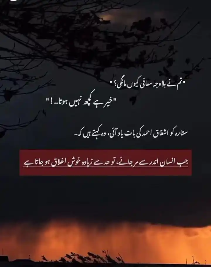 Image from AF💝: "لوگوں کو لوگ کھا جاتے ہیں!" "تمہیں بھی کھا لیا؟ " "ہاں" "شاید ۔۔۔۔"...