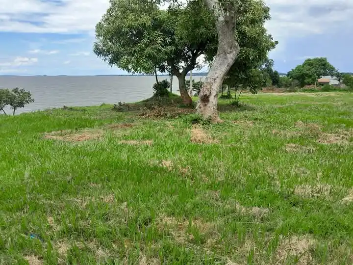 Image from Chartered Real Estates Official Channel Ug: Prime Land on sale..  Location:Bugiri Bukasa Kawuku  1 acre of land  T...