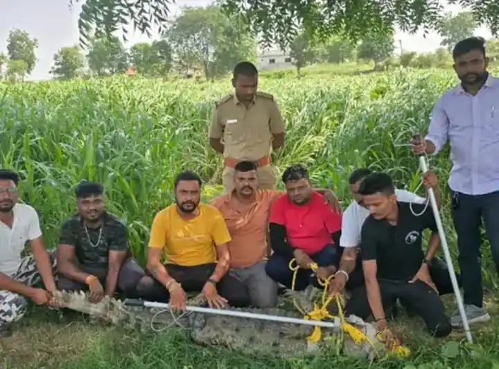 Image from 📰 I Gujarat News 🗞️: સંતરામપુરના કાળીબેલ ગામમાં રહેણાંક વિસ્તારમાં મગર દેખાયો: વન વિભાગ અને...