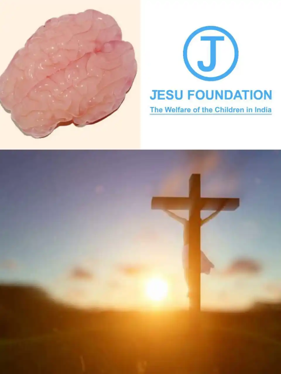 Love in its best form~ Afford God law, Nation law, World law  💯 post