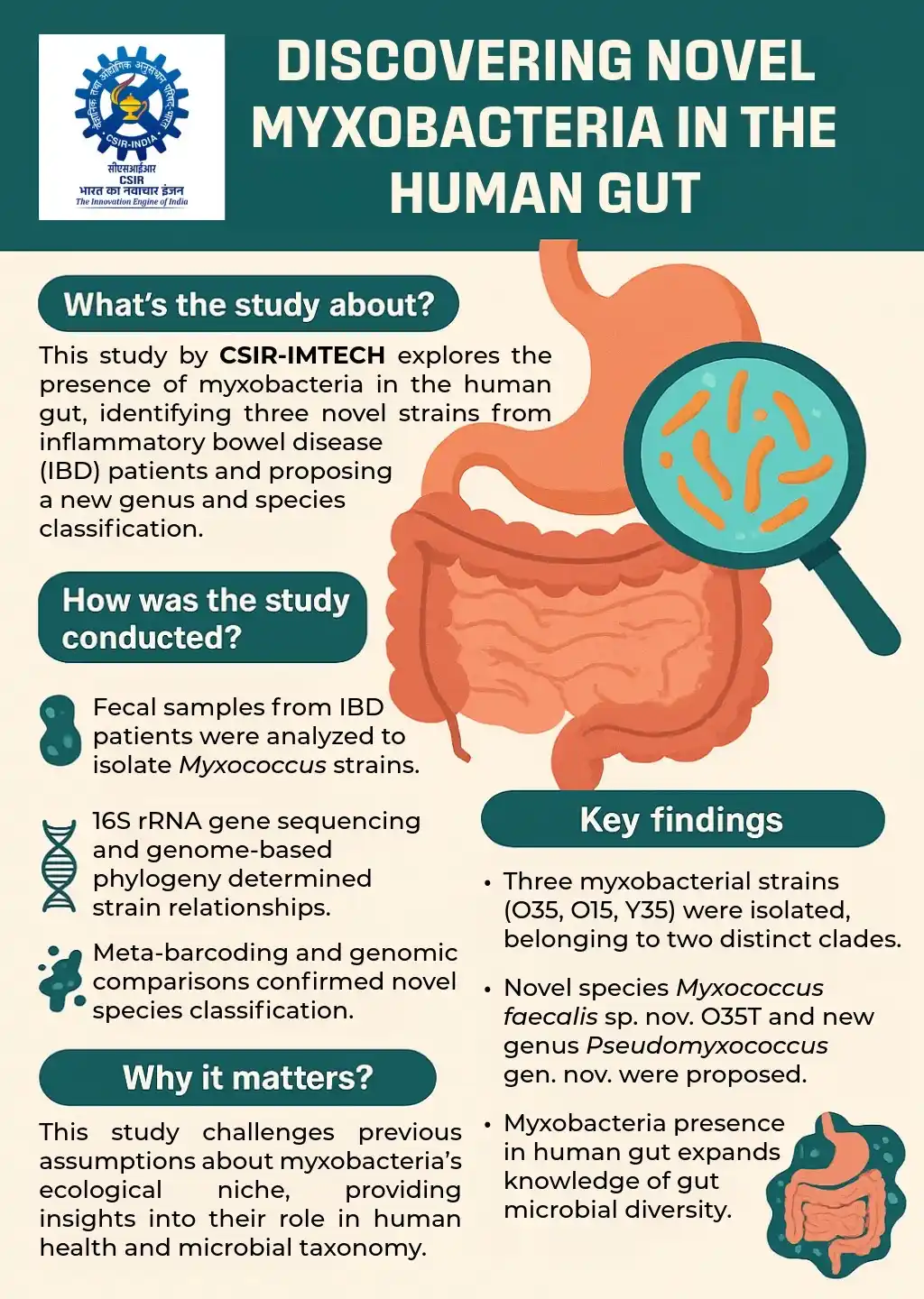 Image from CSIR India: A gut surprise! *CSIR-IMTECH* has identified novel myxobacteria stra...