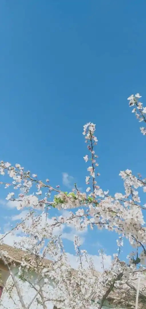 Image from شرکت خدمات وصرافی راغیان 🌾سبز🌾: 🕋بسم الله الرحمن الرحیم🕋  🗓 امروز  شنبه ۱۱ جوزا  ۱۴۰۴ هـ. ش  مطابق ...