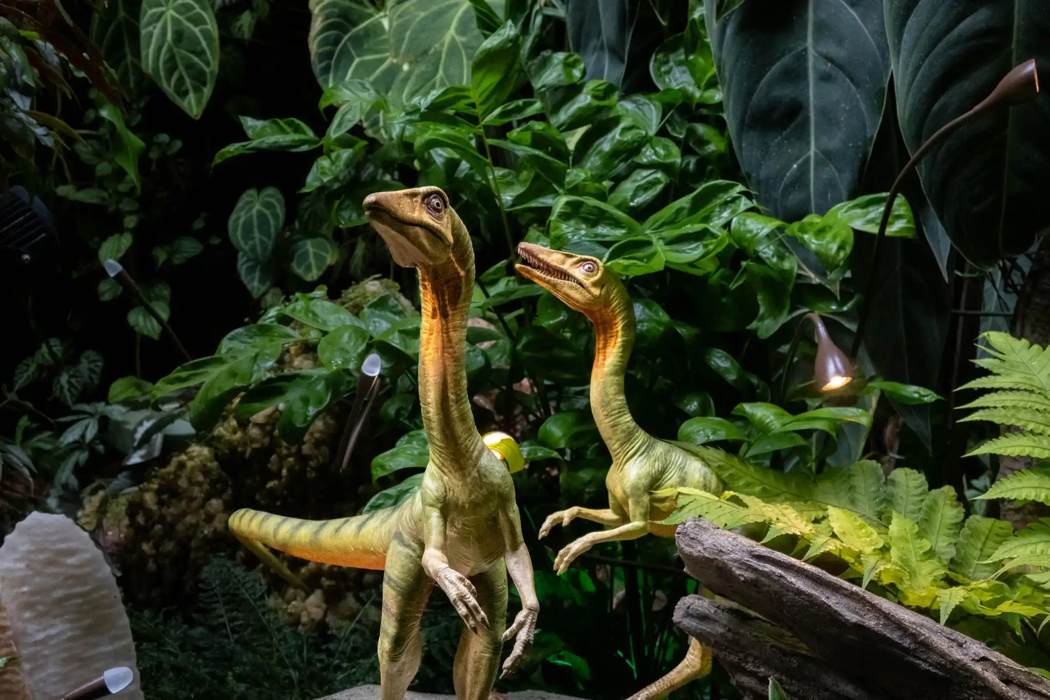 Image from Lee Hsien Loong: Had a dino-mite time at Jurassic World: The Experience at Gardens by t...