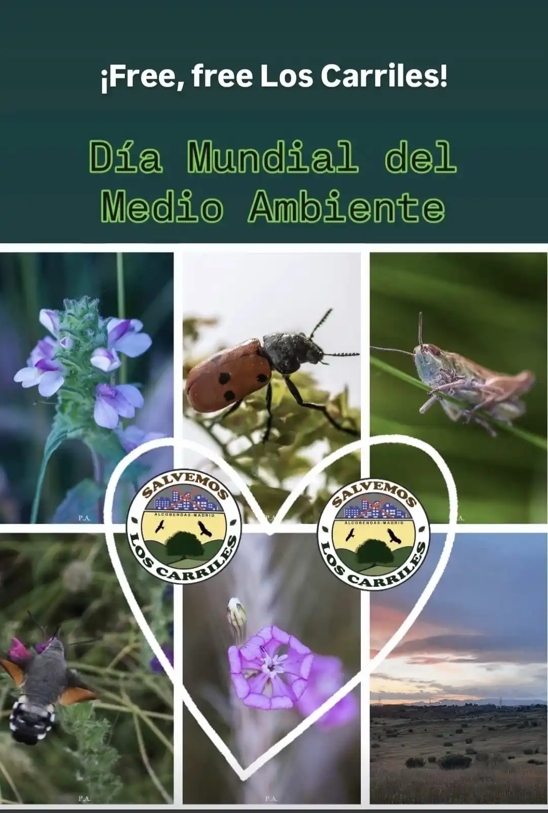 Image from Salvemos Los Carriles: https://youtu.be/ZxUf7lHNVD4?si=E6wBzFkg-_Xws4YY Coincidiendo con el ...