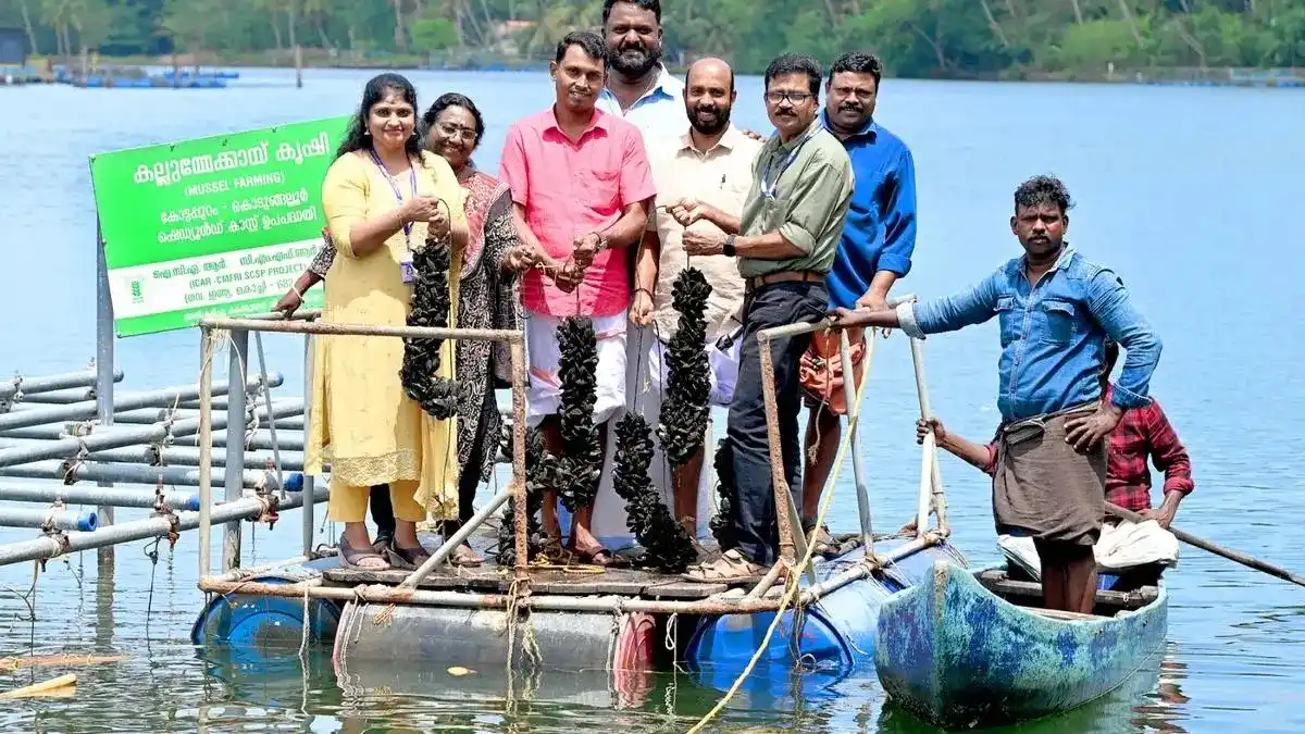 Image from Fishery.News: *๐๐ฎ๐ฌ๐ฌ๐๐ฅ ๐
๐๐ซ๐ฆ๐ข๐ง๐ ๐๐ซ๐ข๐ง๐ ๐ฌ ๐๐จ๐ฉ๐ ๐ญ๐จ ๐๐จ๐จ๐ซ ๐
๐๏ฟฝ...