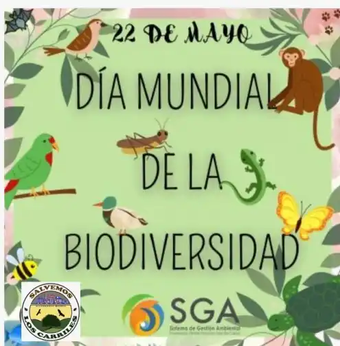Image from Salvemos Los Carriles: Se entiende por biodiversidad la amplia variedad de plantas, animales ...
