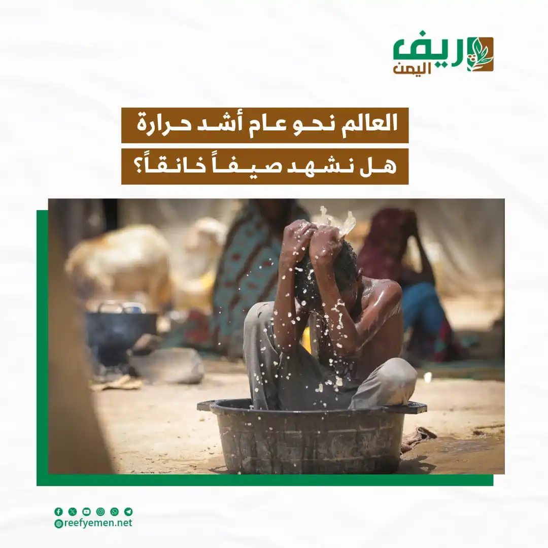 Image from منصة ريف اليمن: توقع علماء المناخ أن يكون هذا العام 2025 أكثر برودة، ولكن يبدو أن الكو...