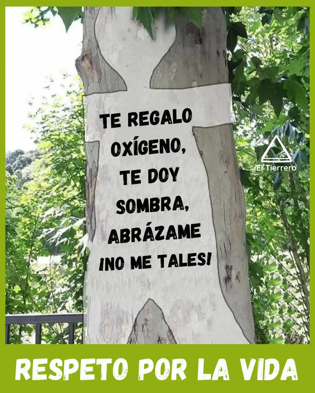 Image from Salvemos Los Carriles: Un abrazo a un árbol para conectar el alma con la naturaleza.💚🌳 NO ...
