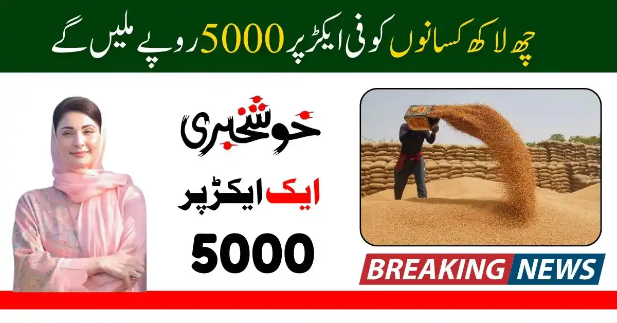 Image from Benazir 8171 Official ✅: ہر ایکڑ پر 5,000 روپے کی براہِ راست امداد — کسان خوشحال، پنجاب مضبوط! ...