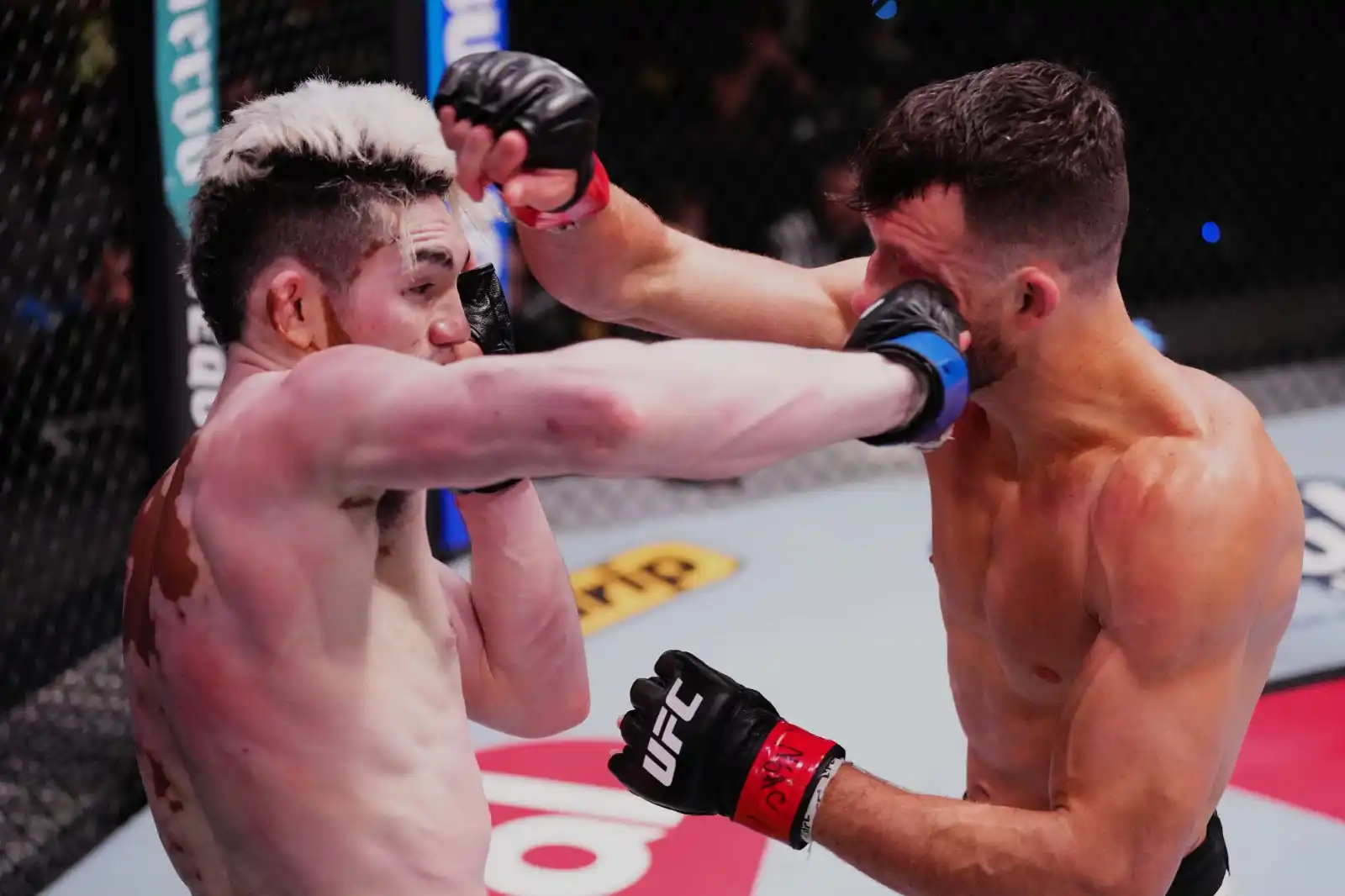 Image from @UFCEspanol: Las estelares de <a class="text-blue-500 hover:underline cursor-pointe...