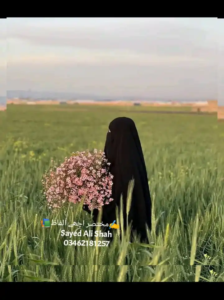 ✍️مختصر اچھے الفاظ📚 post