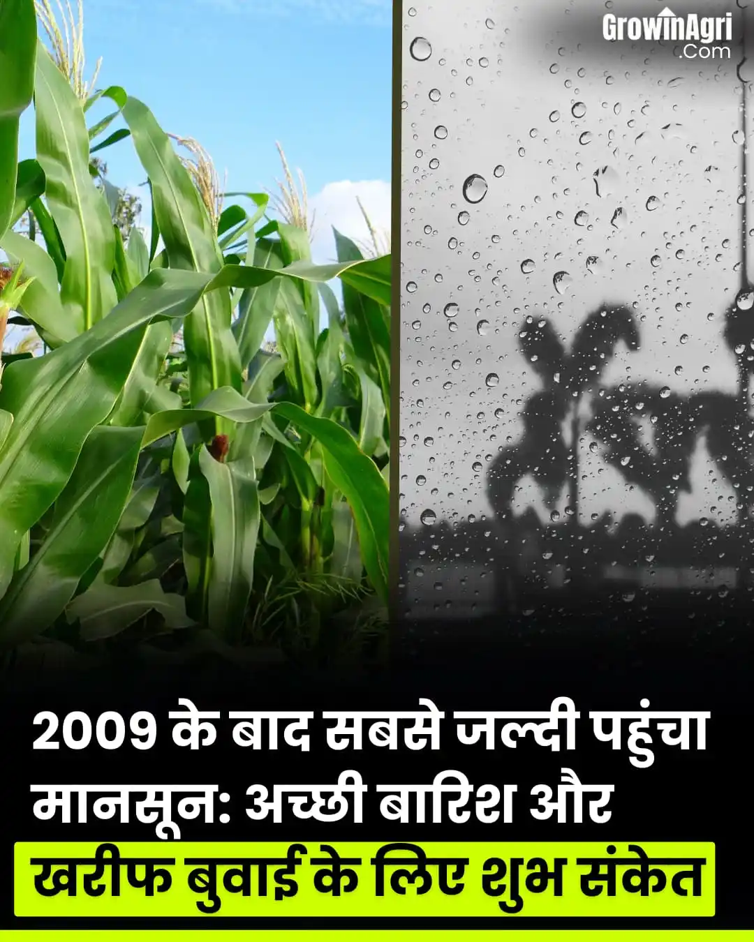 GrowinAgri Hindi post